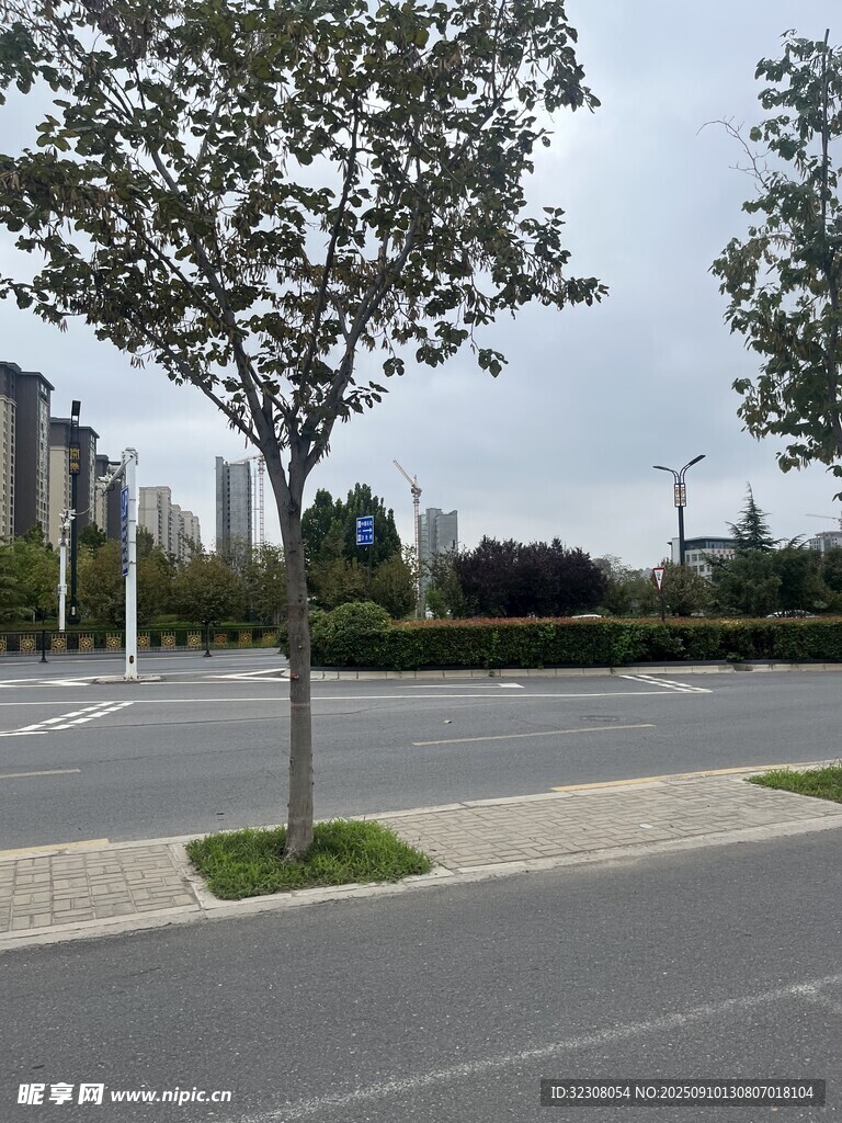 空曠停車場(chǎng)旁的綠樹