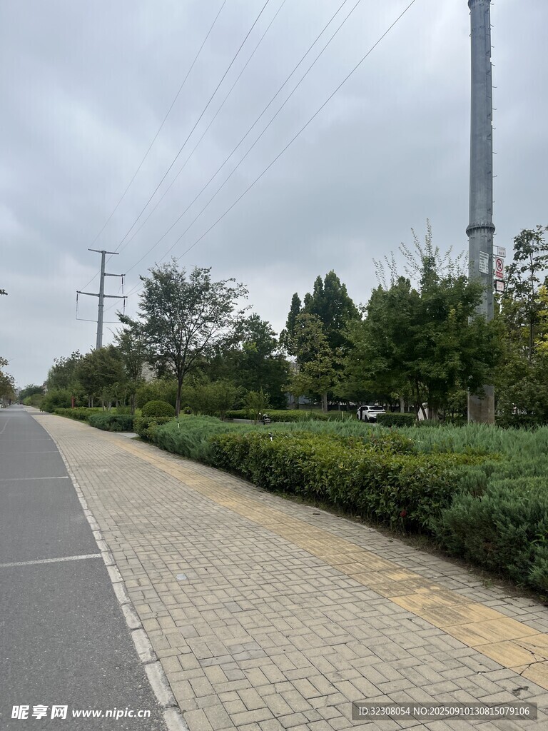 城市道路旁的綠植景觀
