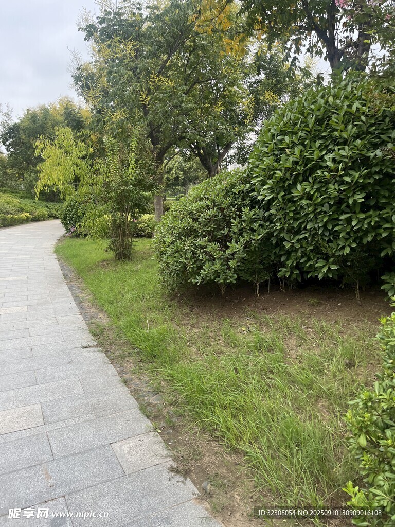 林間石板小徑 