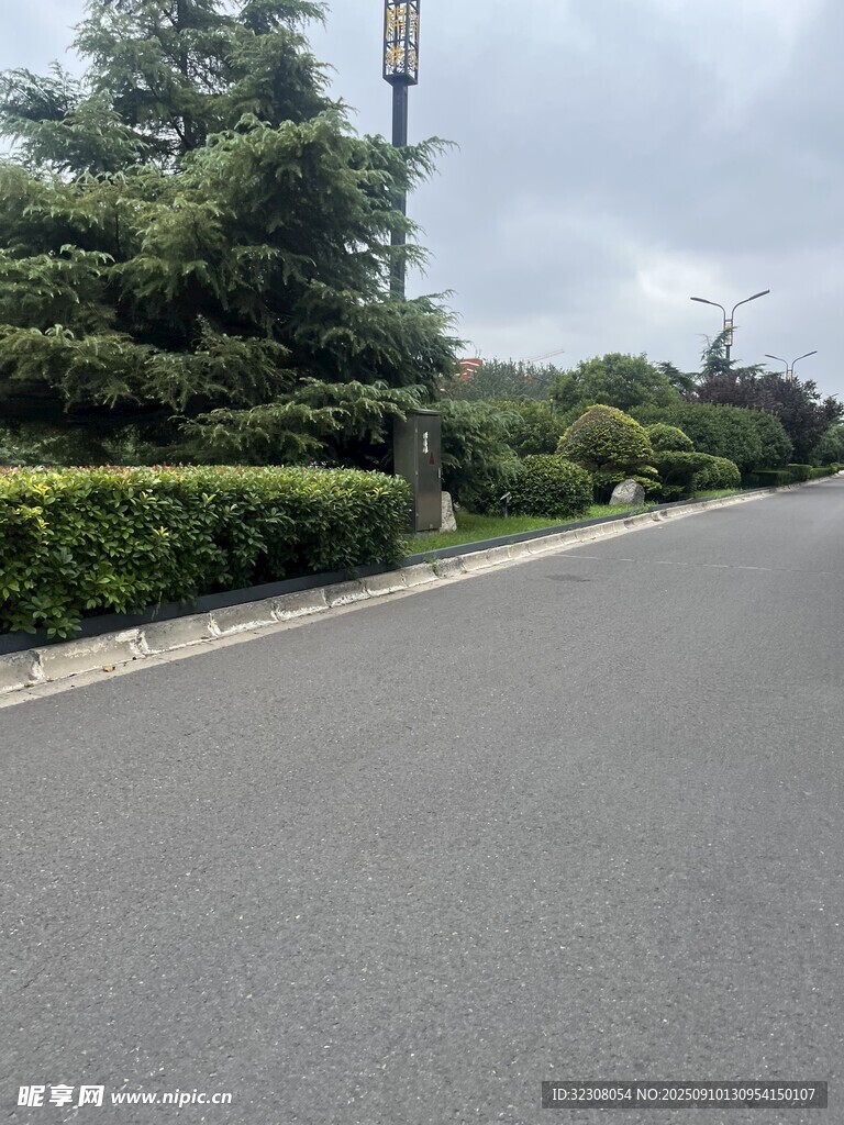 寧靜道路旁的綠植景觀