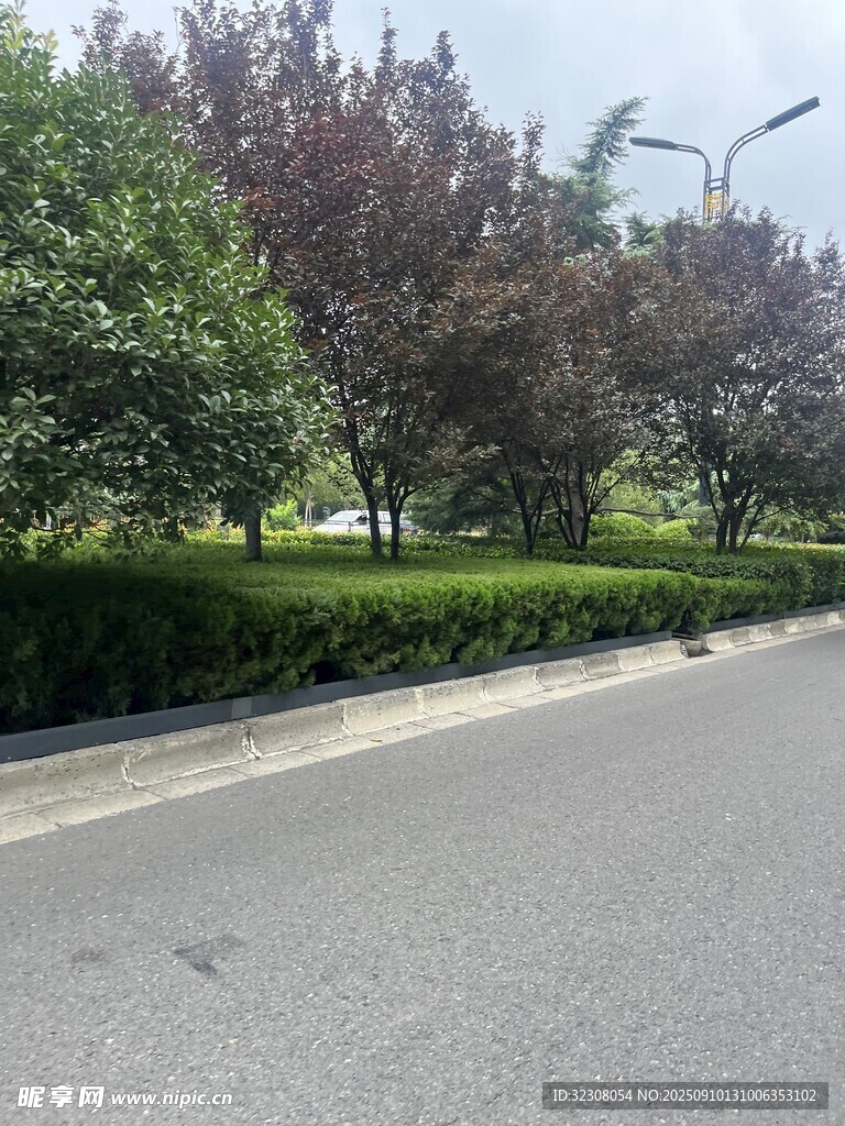 城市道路旁的綠化景觀