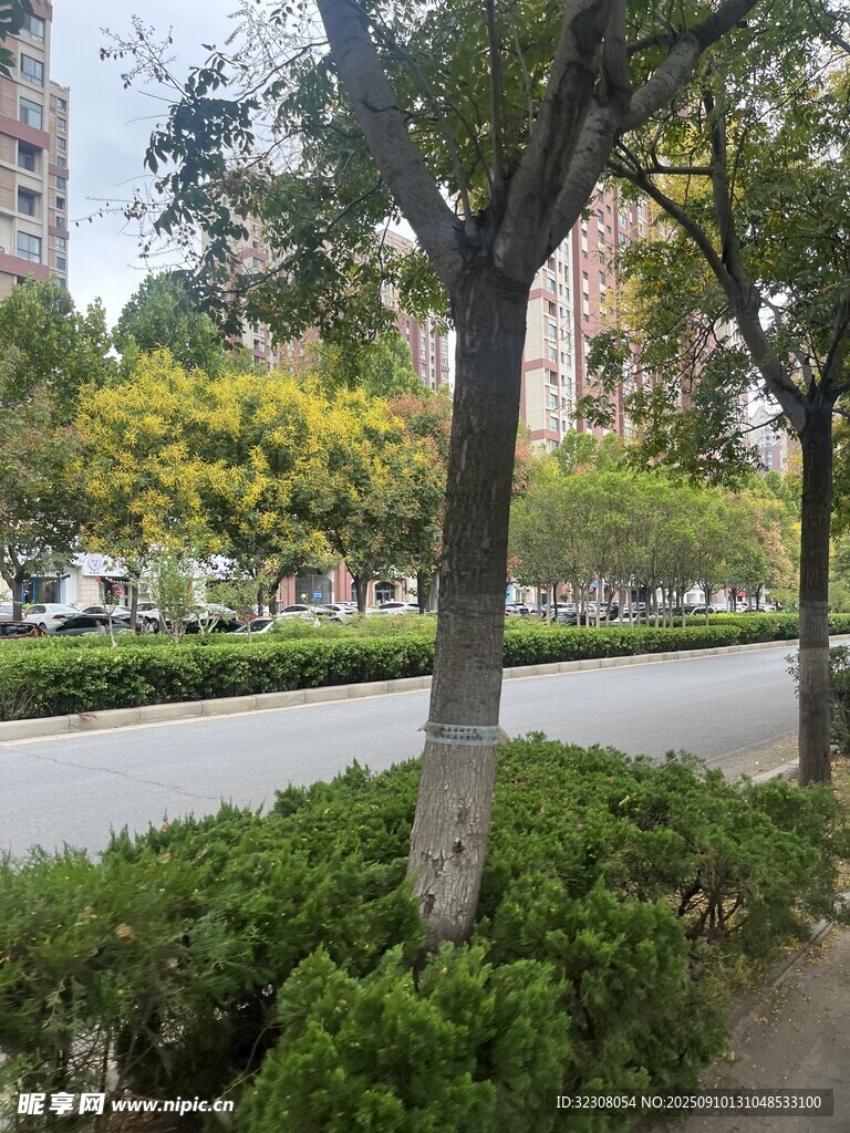 城市公園綠樹環(huán)繞景致