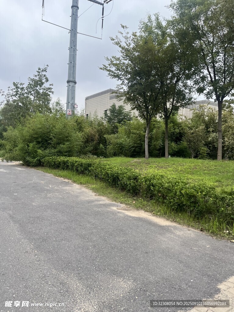 郊外平坦道路旁綠植景觀