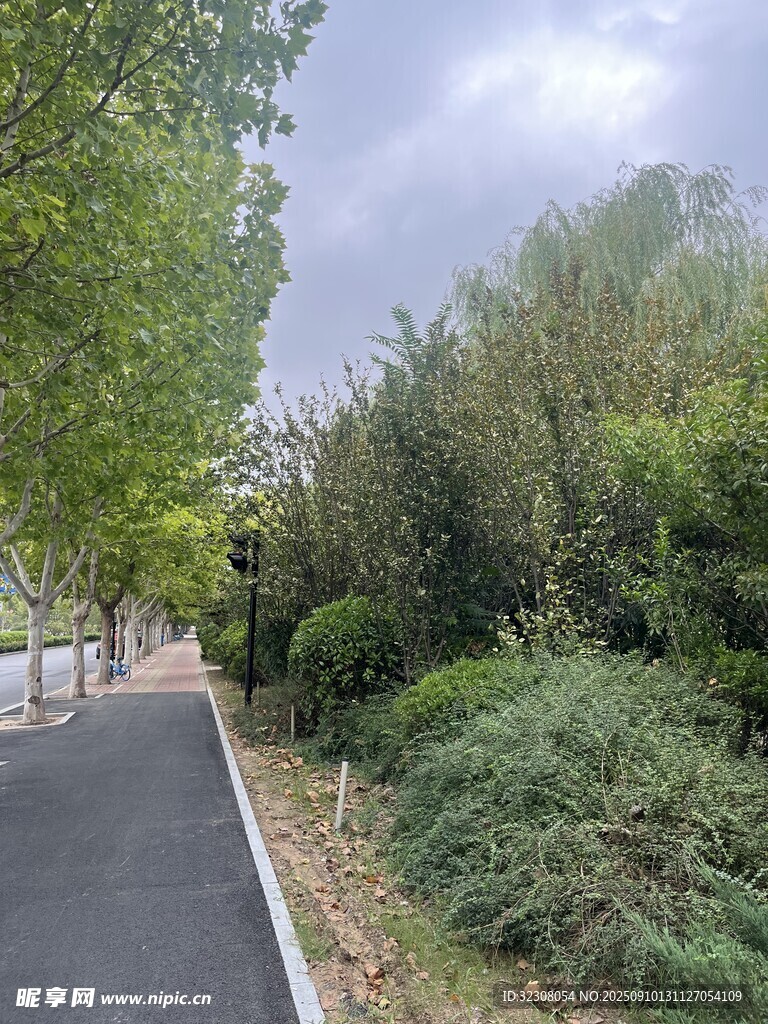 林間幽靜小路 