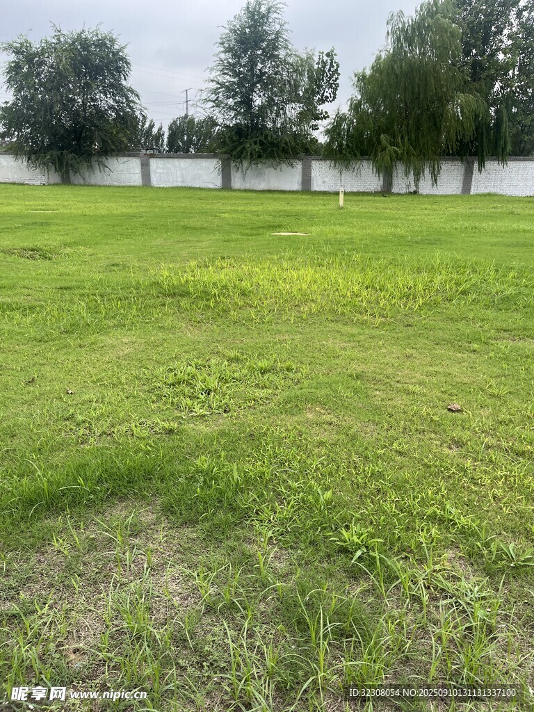 綠意盎然的開闊草地