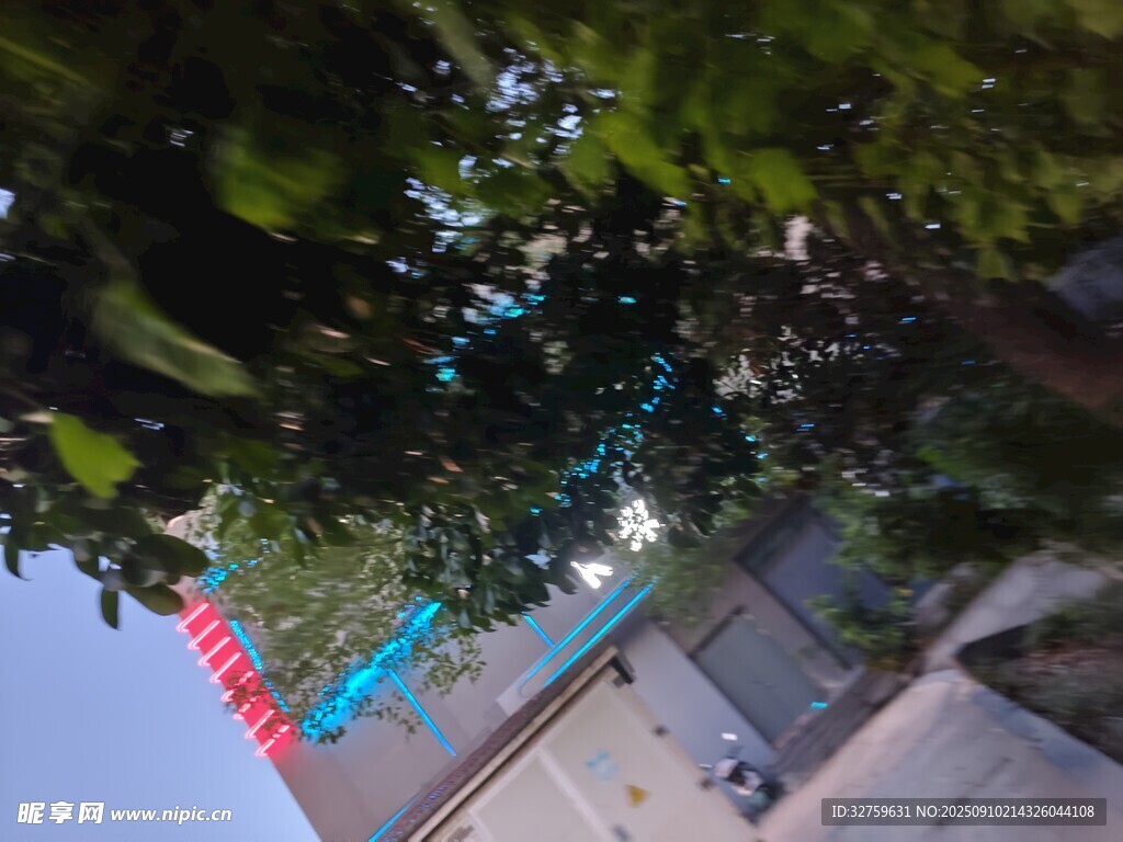 夜幕下的建筑與繁茂綠樹