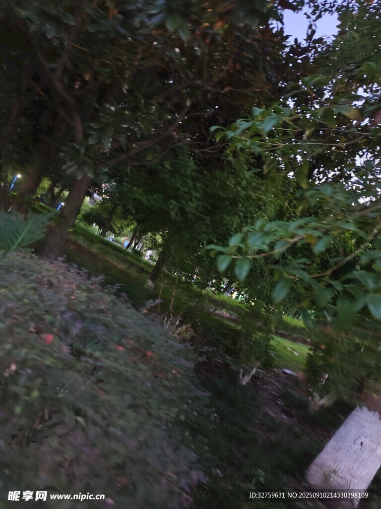 戶外綠植景觀一角
