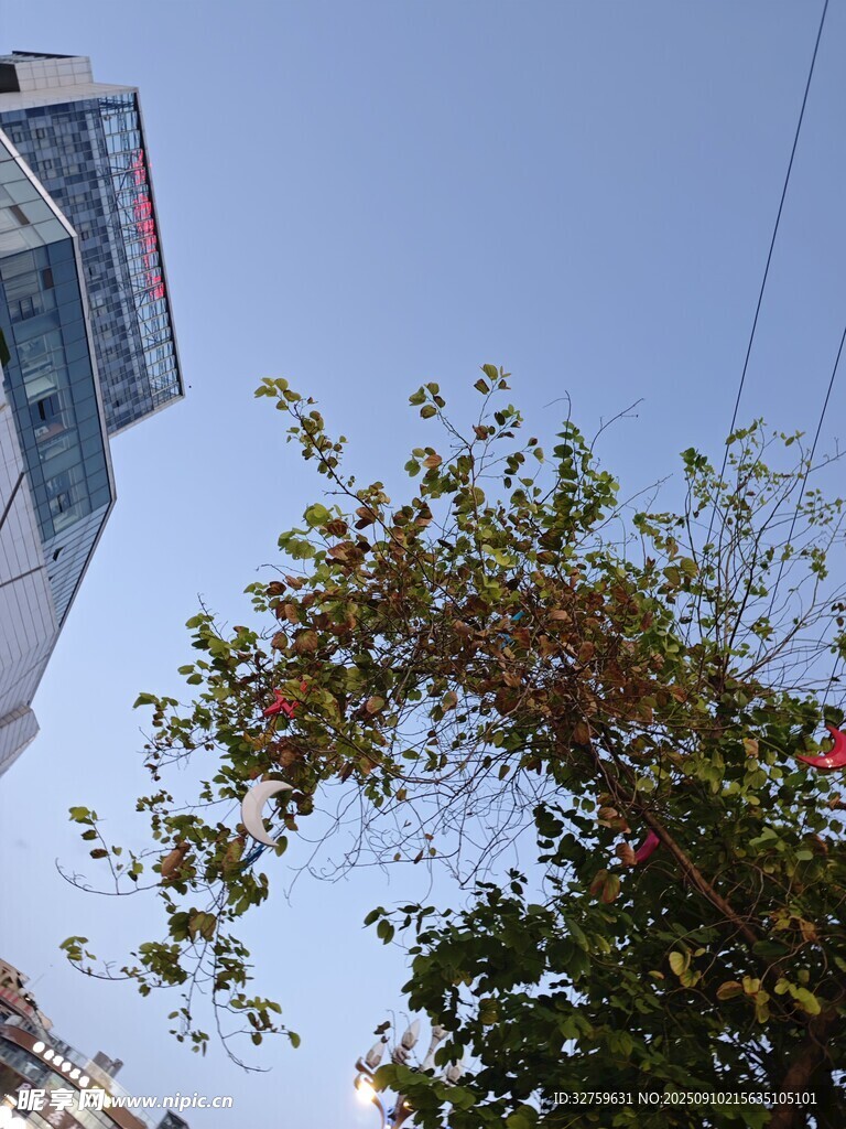 藍天綠樹旁的現代建筑