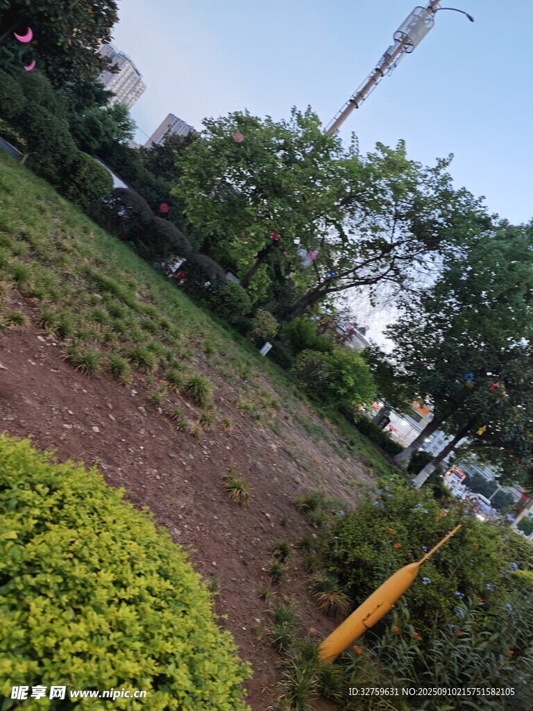 戶外綠地中的通信鐵塔