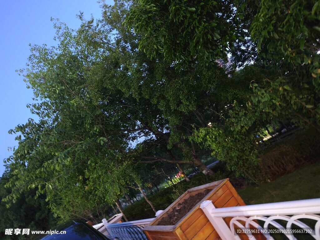 綠樹旁的多彩屋頂