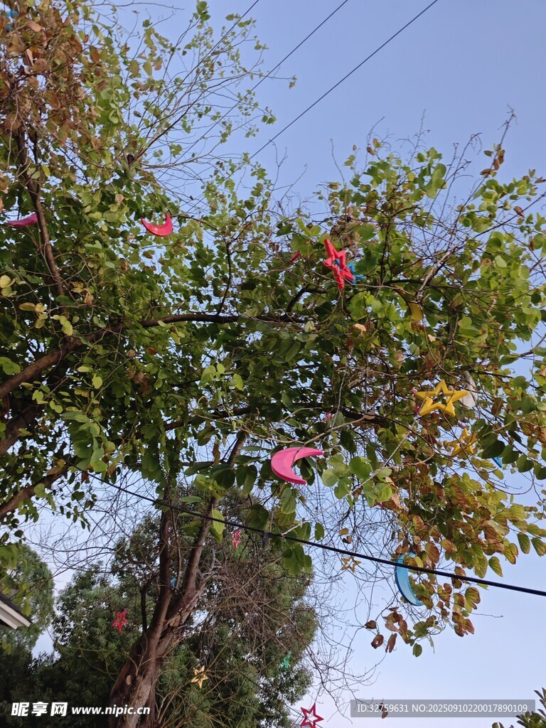 樹上掛飾