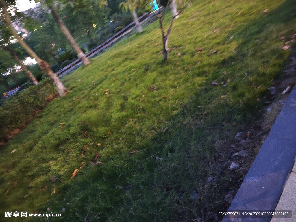 路邊綠意盎然的草地