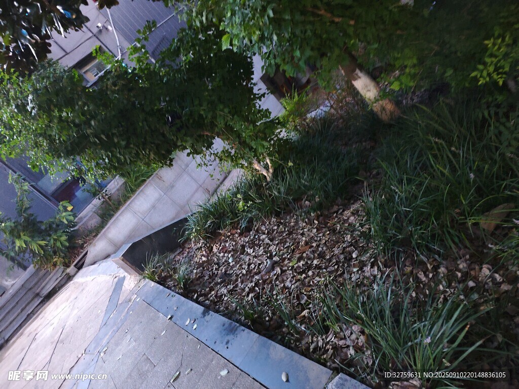 戶(hù)外綠植環(huán)繞的小徑
