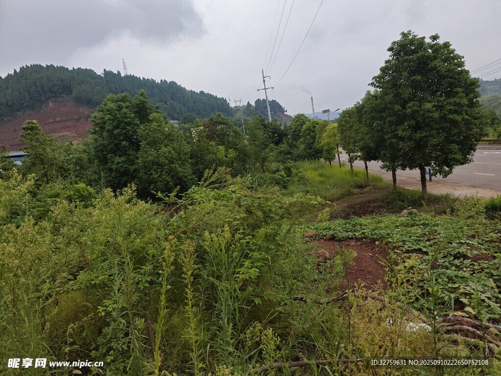 鄉(xiāng)村田野間的植被景觀