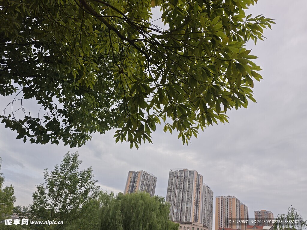 綠樹掩映下的城市高樓