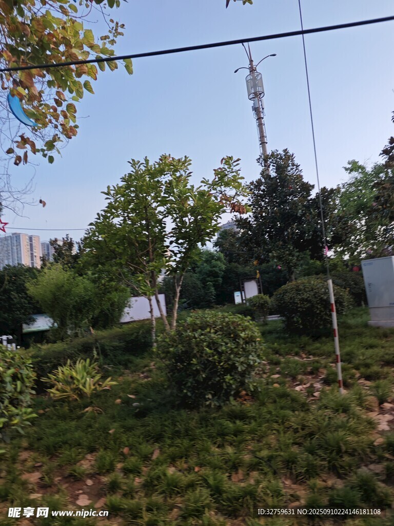 城市中的綠植與通信塔