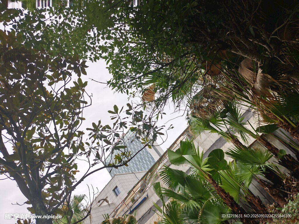 庭院綠植與建筑一角