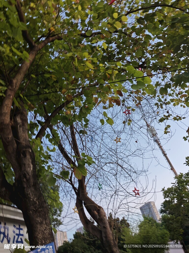 綠蔭下的城市景致