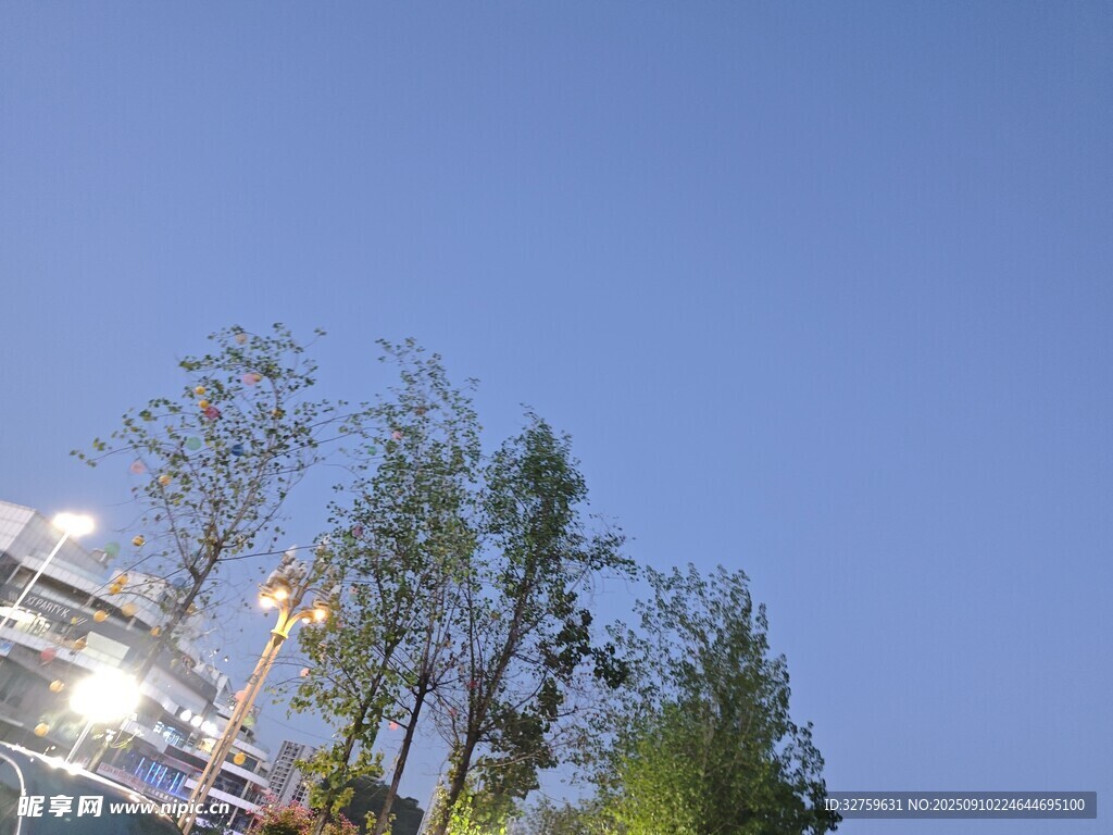藍天綠樹旁的游樂設(shè)施