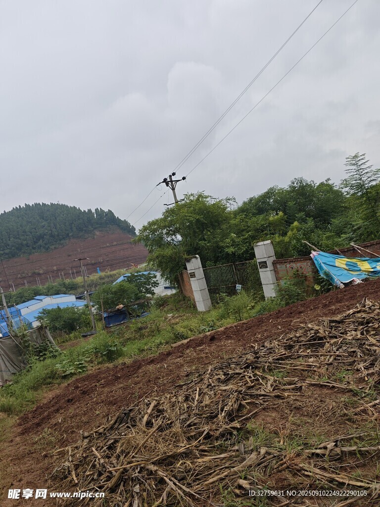 山坡上的雜亂植被與設(shè)施