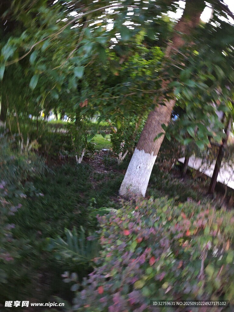 林間綠植景觀