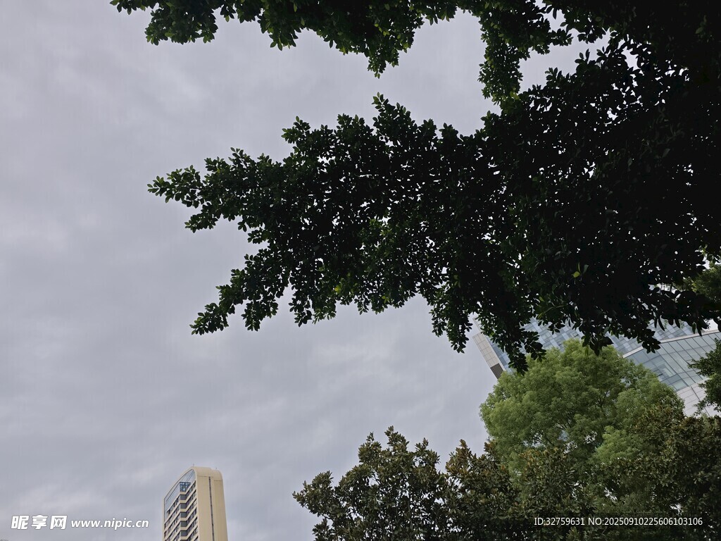 綠樹掩映下的城市高樓