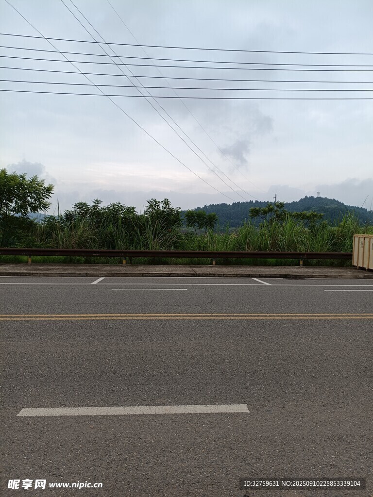 空曠道路旁的蔥郁景致