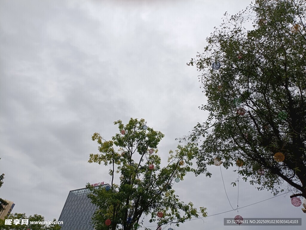 陰天中的樹木與建筑物