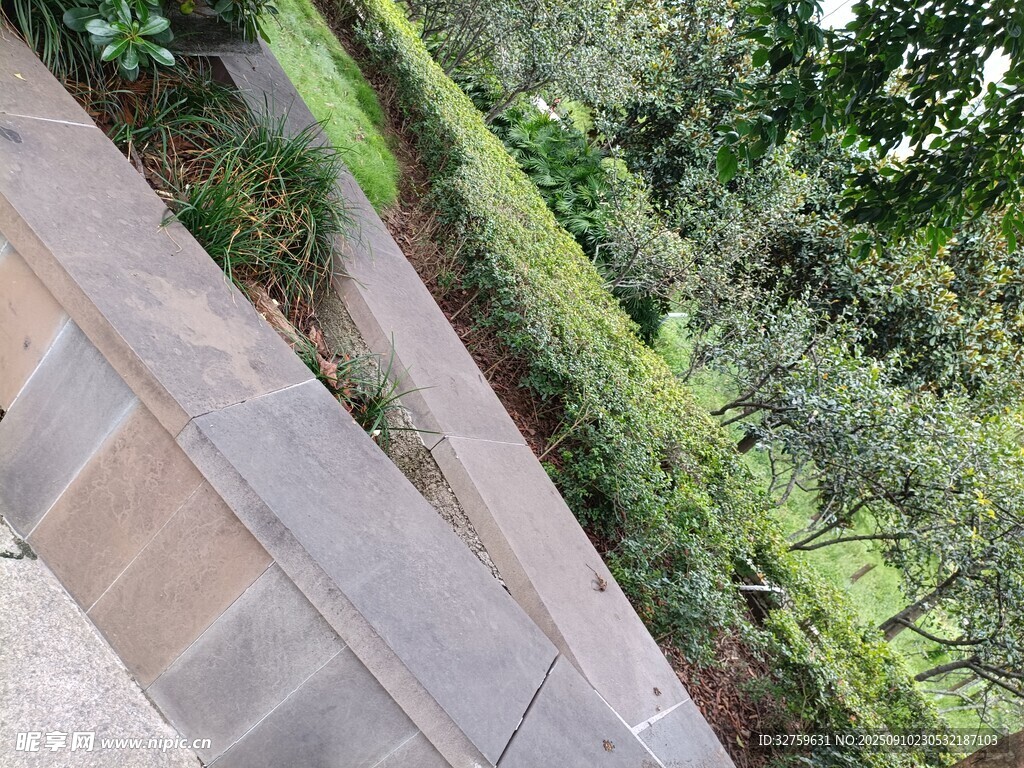 戶外石階旁的綠植景觀
