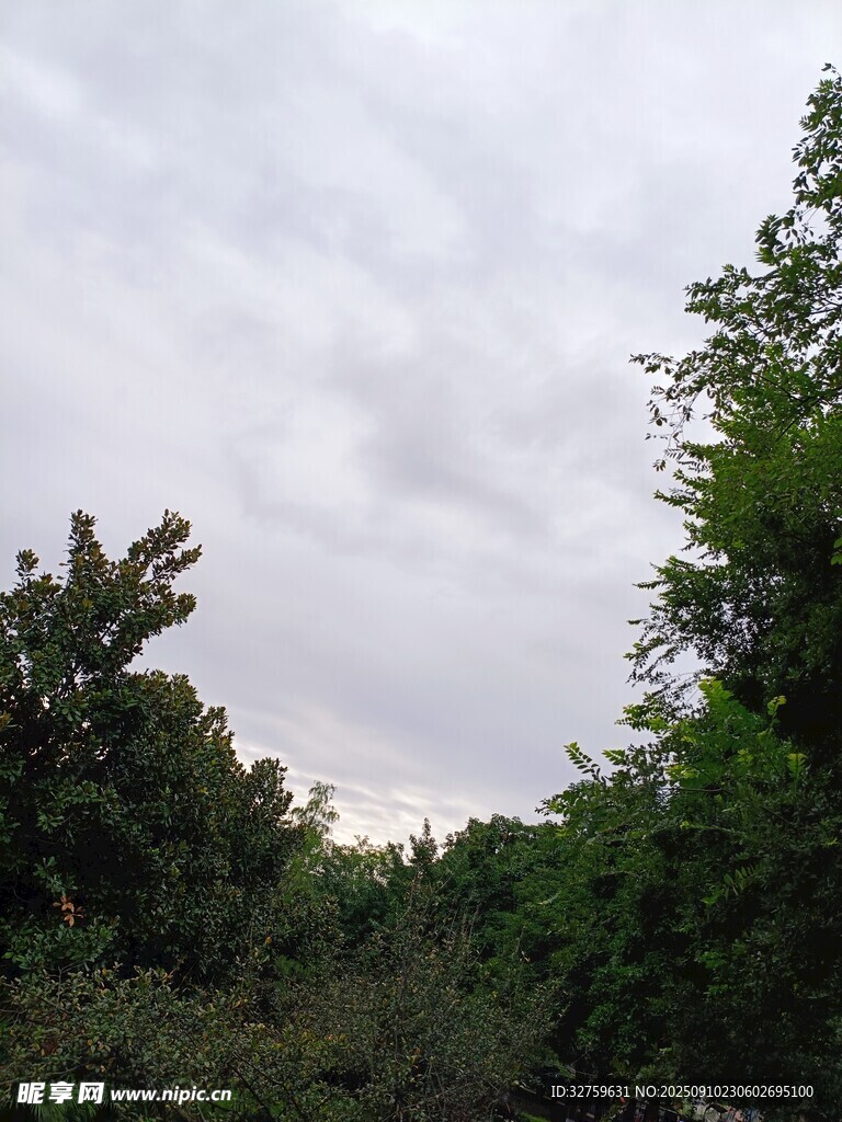 林間天空 