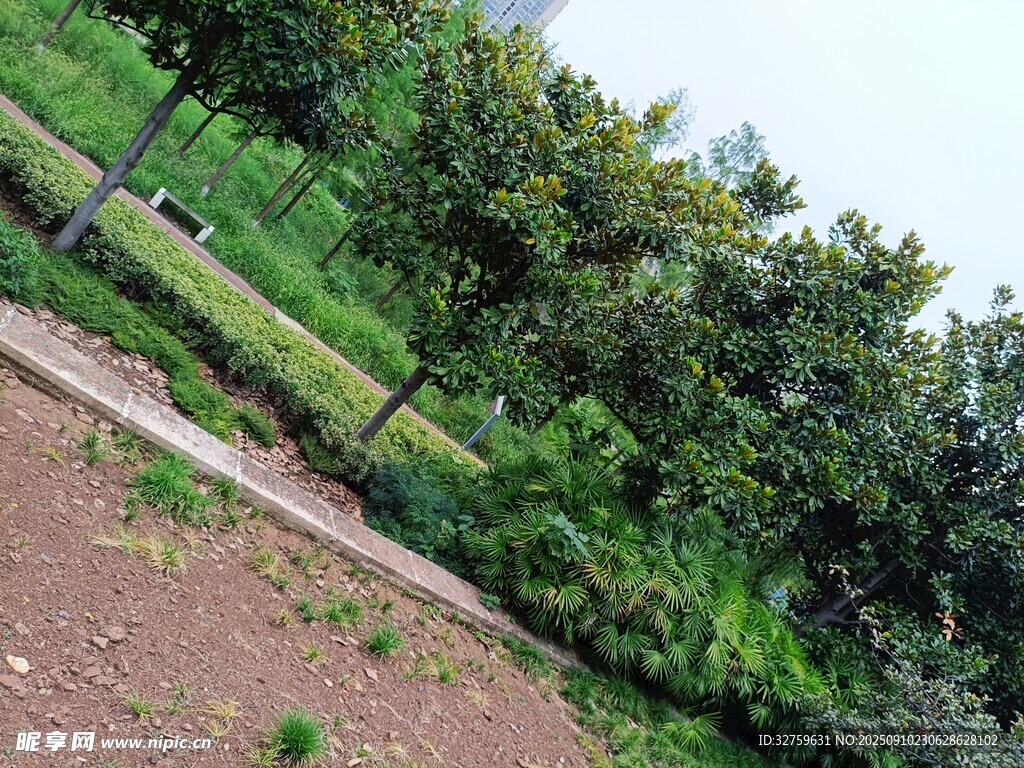 田園風(fēng)光中的綠植小路