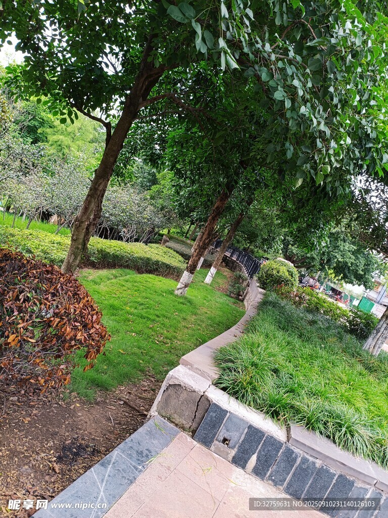 城市中靜謐的林蔭小道