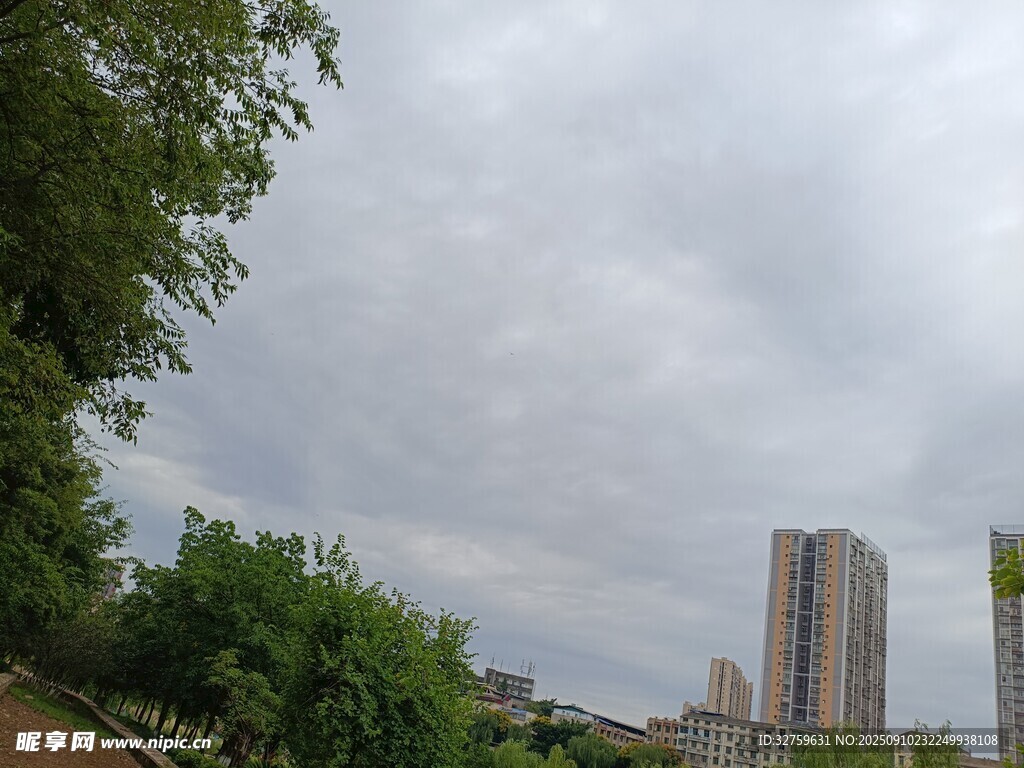 城市綠蔭與高樓景致