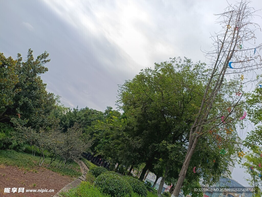 戶外綠意盎然的自然景致