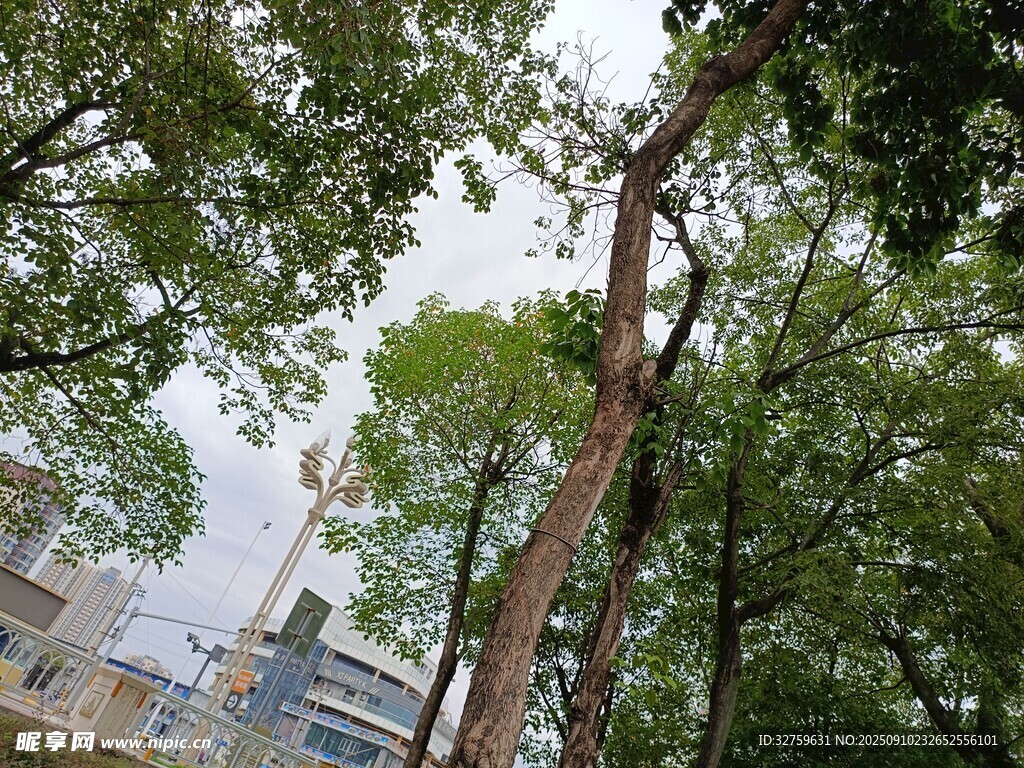 綠樹環(huán)繞中的建筑一角