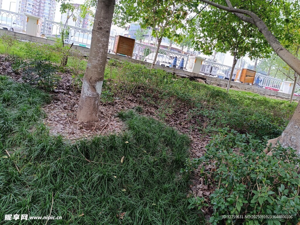 樹(shù)下綠植景觀