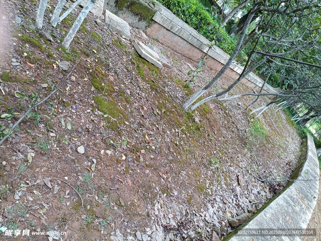 戶外地面及周邊景致