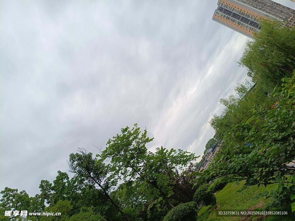 戶外綠樹與建筑景觀