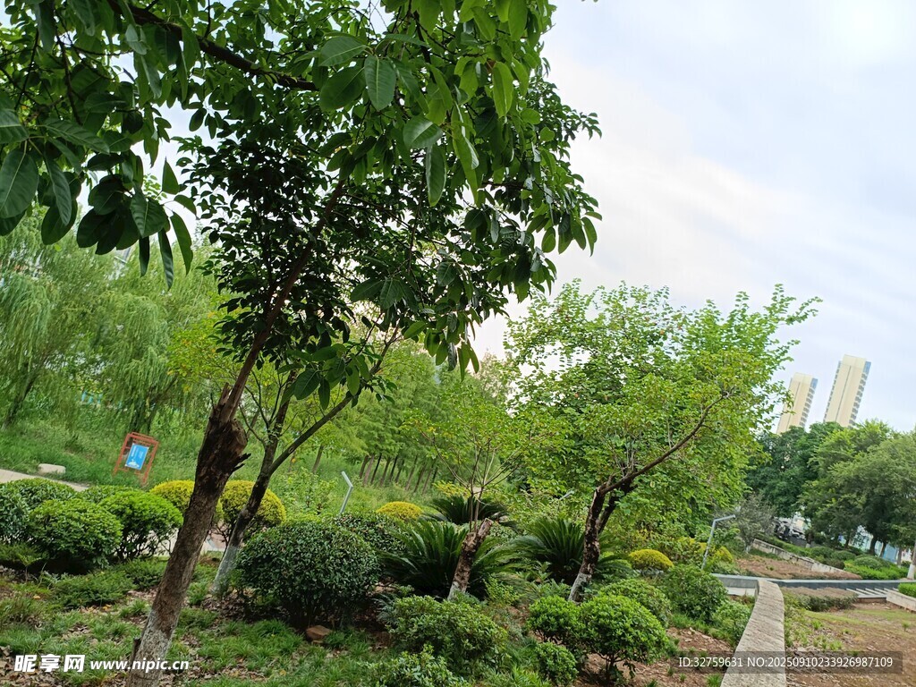 綠意盎然的戶外園林景觀