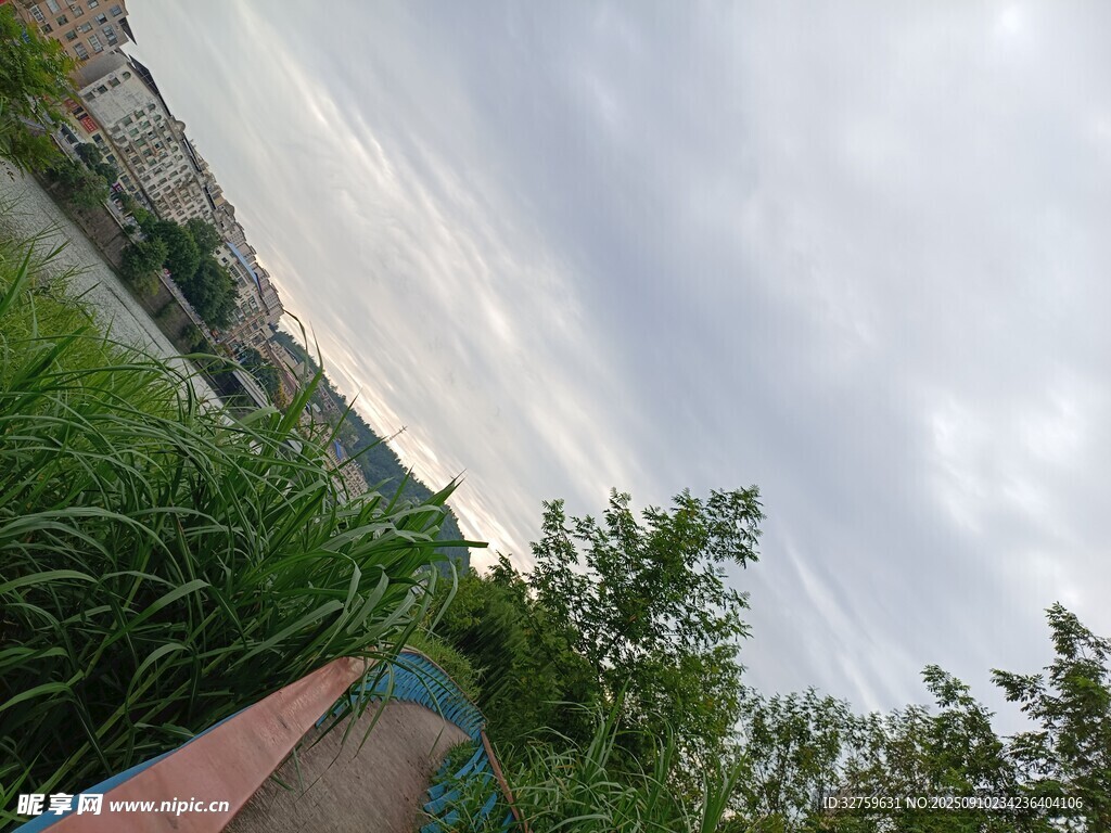 戶外綠植與天空景象