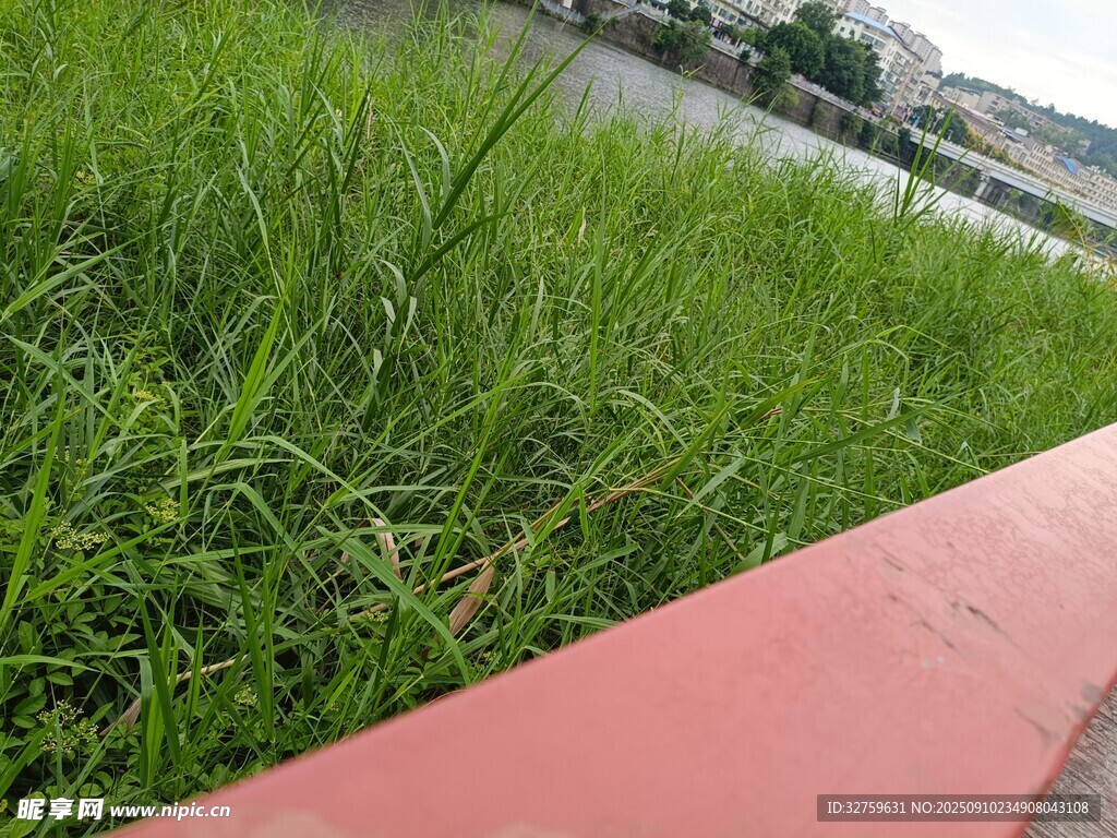 河畔綠草與紅色護(hù)欄景致