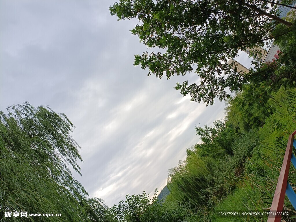 戶外綠意盎然的自然景致