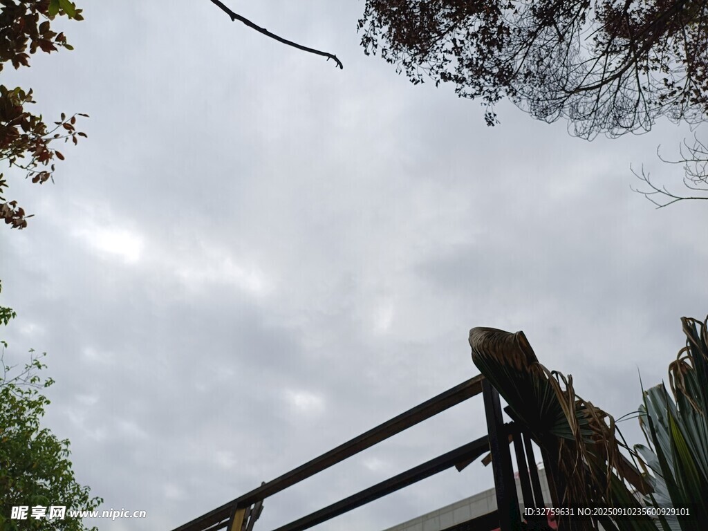 仰視視角下的欄桿與天空