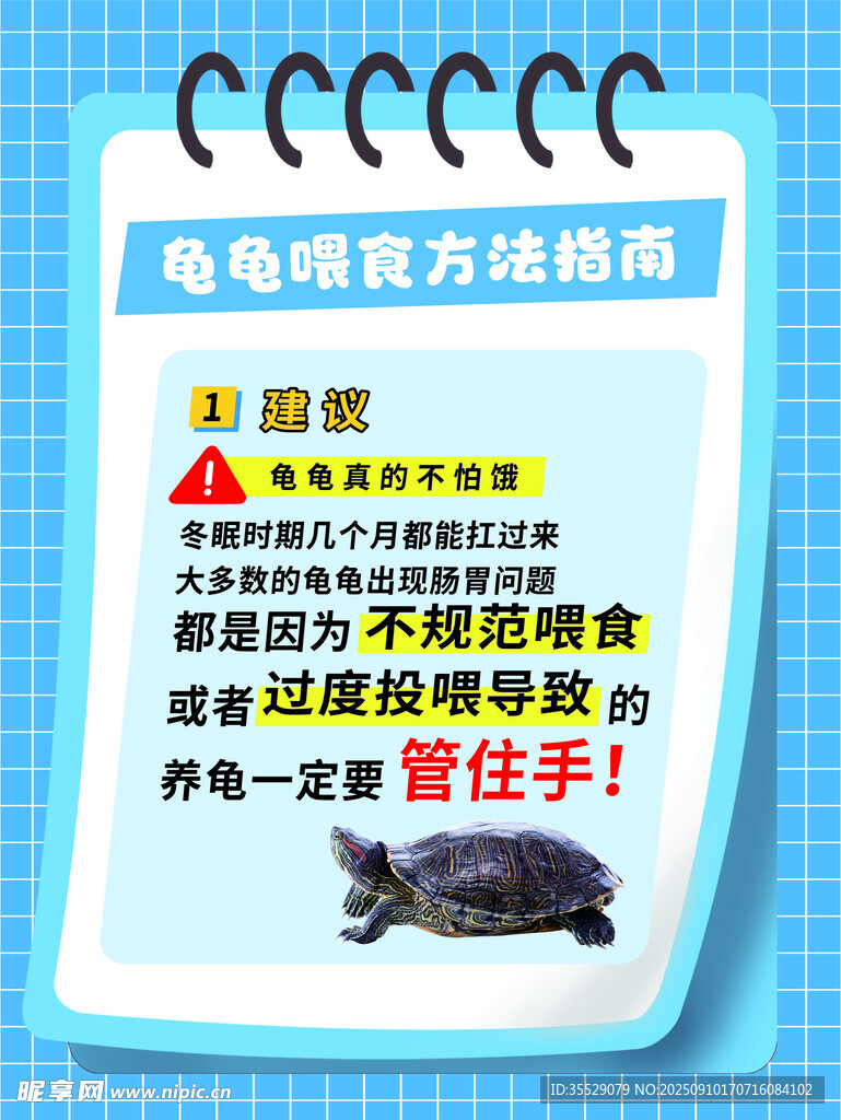 龜龜喂養(yǎng)方法指南