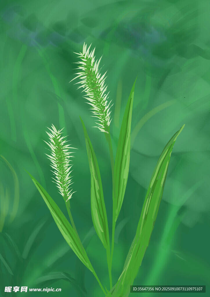 清新綠色狗尾草特寫