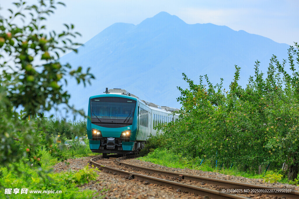 山間行駛的綠色火車