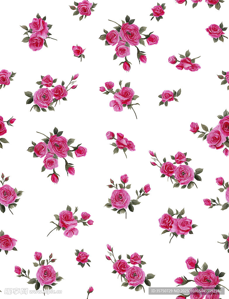 玫瑰花