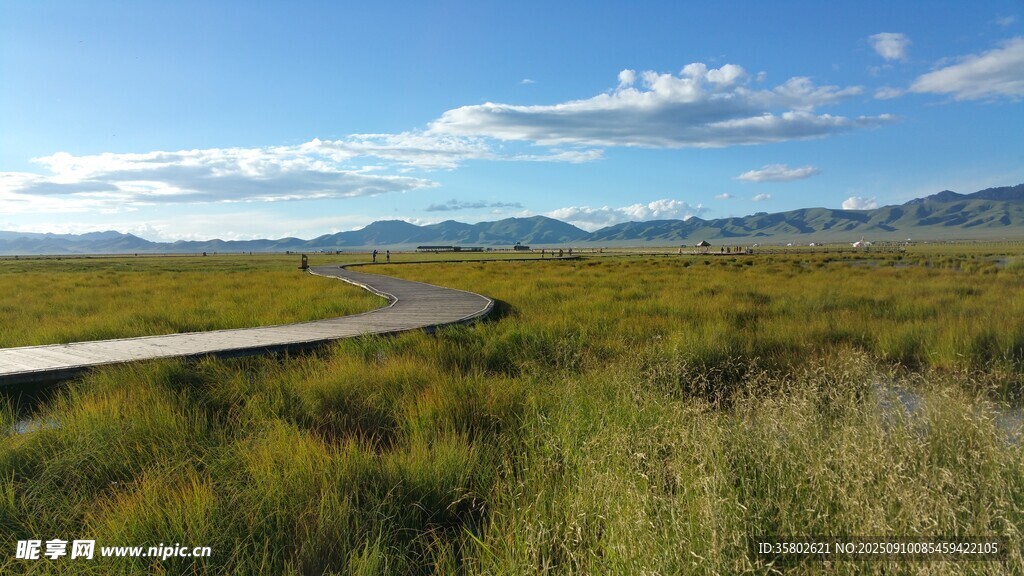 草原上的蜿蜒公路
