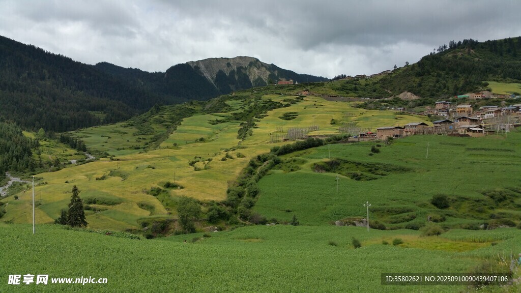 山間綠野美景