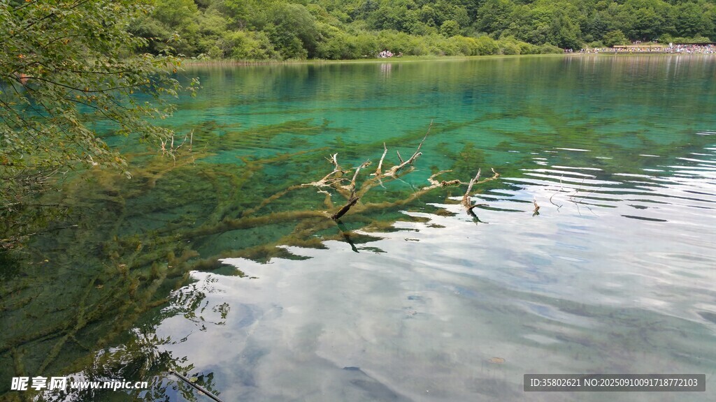 清澈碧綠的寧?kù)o湖水